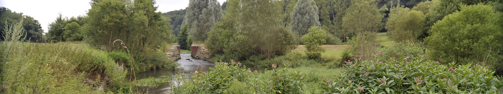 Fluss durch bewaldete Landschaft ©DLR